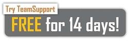 Free trial of TeamSupport issue management system