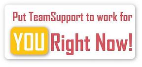 Put TeamSupport to work for you best help desk software