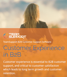 eBook-customer-experience-thumb-sm-1